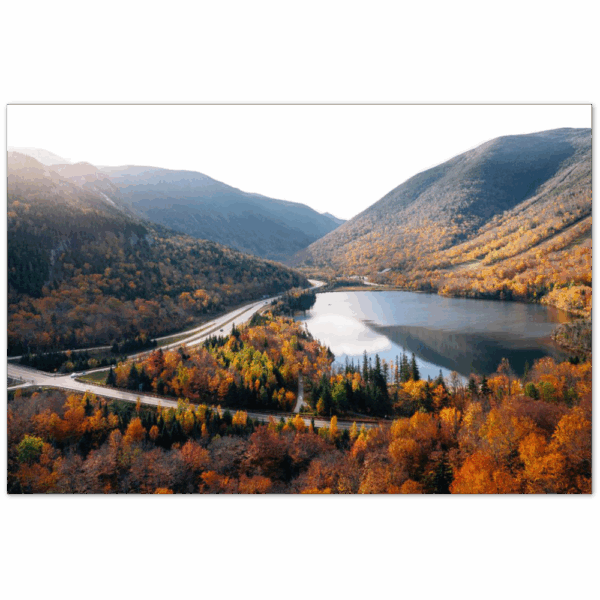 00dbcce3-dac4-48d3-96b2-e1ba1e6cbbe0.png 00dbcce3-dac4-48d3-96b2-e1ba1e6cbbe0