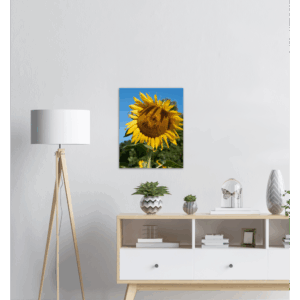 3f3fdf55-e209-45dc-9c6d-627c14581321.png 3f3fdf55-e209-45dc-9c6d-627c14581321