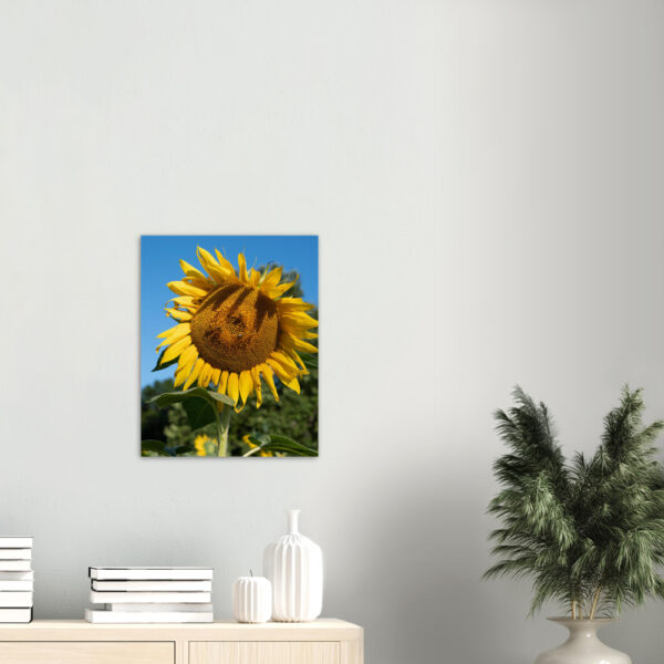 5649a499-f633-4d70-b67b-4e7183b1758f.jpg 5649a499-f633-4d70-b67b-4e7183b1758f