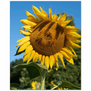 6c6e64a0-4017-427f-81e0-6216b47fdccd.png 6c6e64a0-4017-427f-81e0-6216b47fdccd