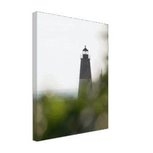 7d5eb6fa-486a-4d04-8b2c-9d6be96f19f6