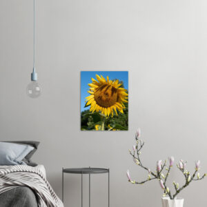 9091169d-cfbd-48e4-a756-22dfcd0b440a.jpg 9091169d-cfbd-48e4-a756-22dfcd0b440a