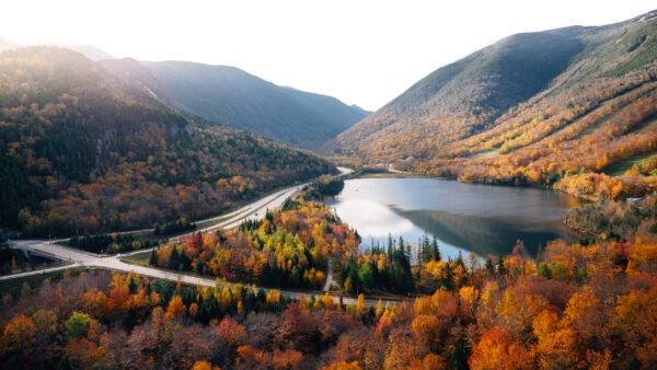 P1233106-3 P1233106-3