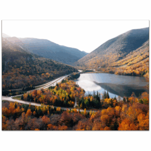 bf985676-6844-463d-ba3e-f32411216b2a.png bf985676-6844-463d-ba3e-f32411216b2a