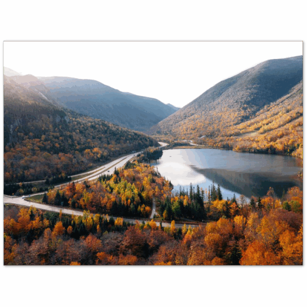 bf985676-6844-463d-ba3e-f32411216b2a.png bf985676-6844-463d-ba3e-f32411216b2a