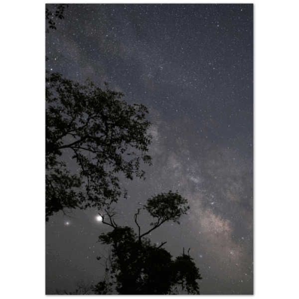 05663342-eb38-4df8-b9a4-418ba81d5032.png 05663342-eb38-4df8-b9a4-418ba81d5032