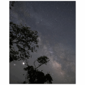 116b470a-51cd-435d-a696-e8ddbc11fb32.png 116b470a-51cd-435d-a696-e8ddbc11fb32