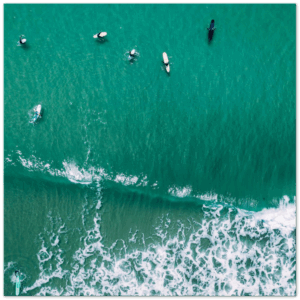 4c3ed599-dd05-4a1e-a1e6-819a0c812a81.png 4c3ed599-dd05-4a1e-a1e6-819a0c812a81