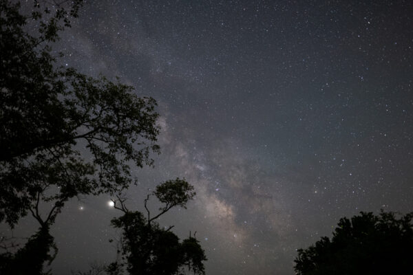 P1023944-4 P1023944-4