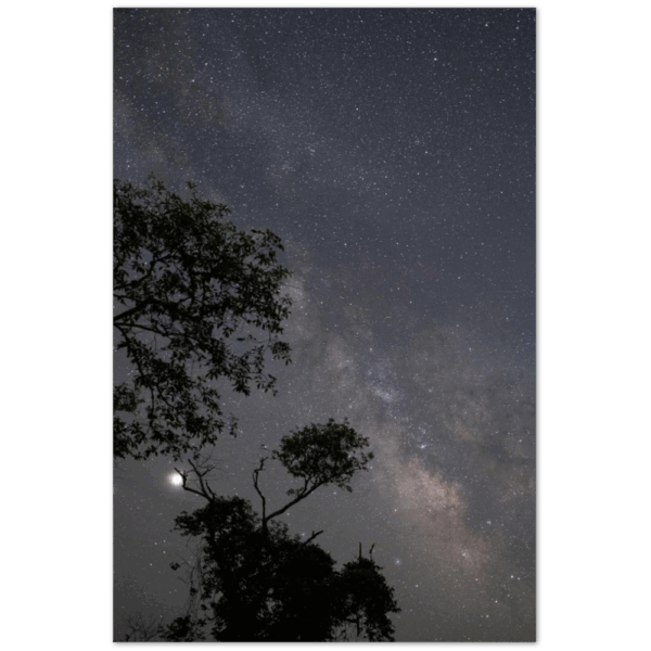 b628d1d1-7dc9-472c-b50e-3fc4e4b87971.png b628d1d1-7dc9-472c-b50e-3fc4e4b87971