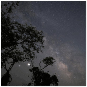 c12217ed-d82f-4c75-8589-461097c6bc6a.png c12217ed-d82f-4c75-8589-461097c6bc6a