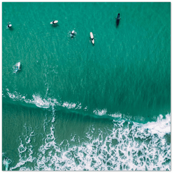 ce56b46c-5cbc-4054-af69-0f10fcfe3cb2.png ce56b46c-5cbc-4054-af69-0f10fcfe3cb2