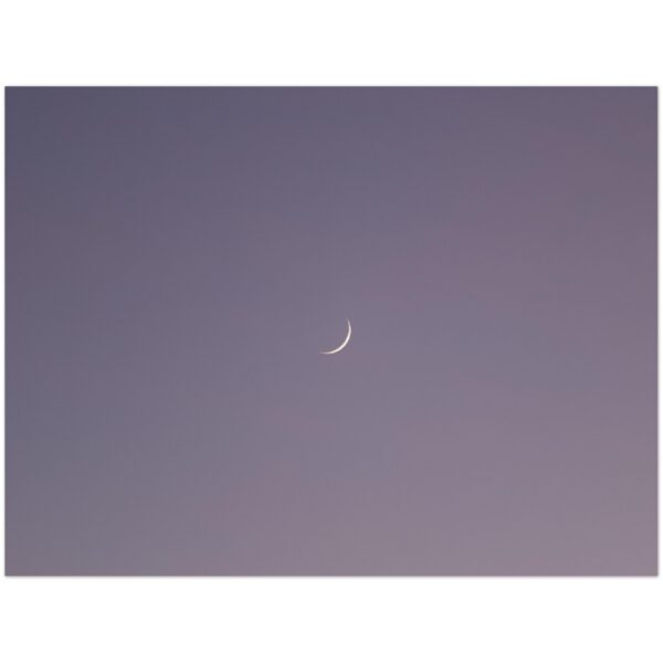 46692d5e-4037-48e3-8d71-7734a6a4c5e2.jpg 46692d5e-4037-48e3-8d71-7734a6a4c5e2