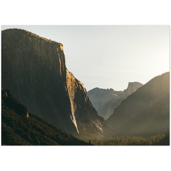 700cd035-0989-4241-b205-eed978e8718b.jpg 700cd035-0989-4241-b205-eed978e8718b