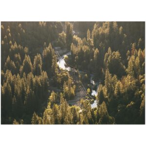 847aabf9-868b-46e3-a3d1-1c8aad51c17d.jpg 847aabf9-868b-46e3-a3d1-1c8aad51c17d