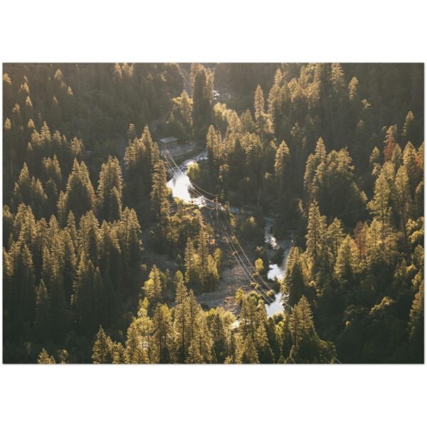 847aabf9-868b-46e3-a3d1-1c8aad51c17d.jpg 847aabf9-868b-46e3-a3d1-1c8aad51c17d