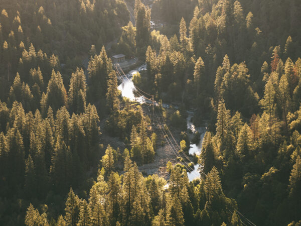 P1261380-3 P1261380-3