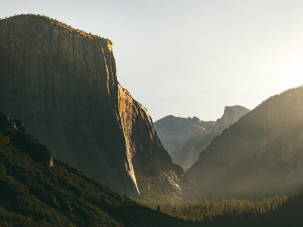 P1261704-4 P1261704-4