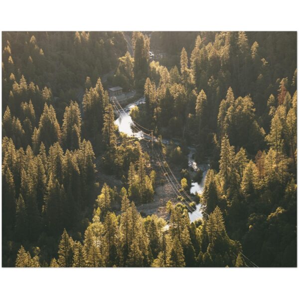 c5c469a6-e2c8-4573-a754-78683c733fdf.jpg c5c469a6-e2c8-4573-a754-78683c733fdf