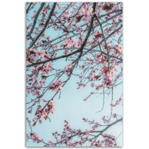 13b0b845-f17e-403f-82bd-1212ca1f84f2.jpg 13b0b845-f17e-403f-82bd-1212ca1f84f2