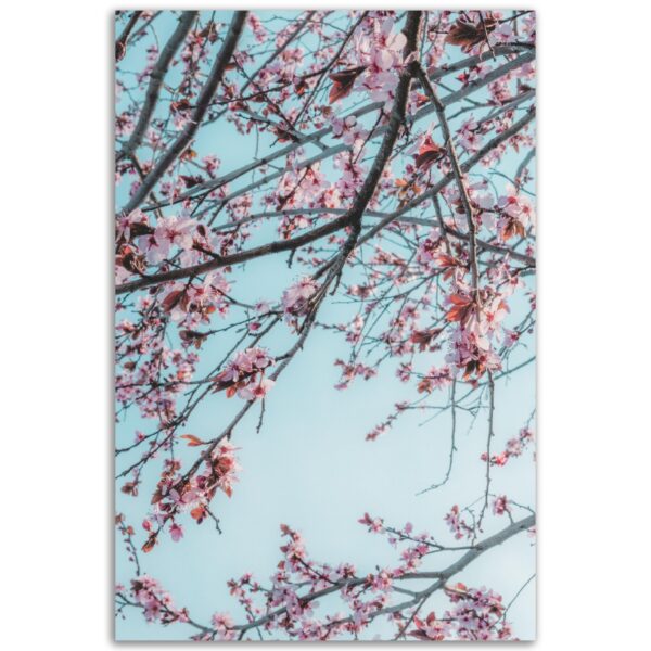 13b0b845-f17e-403f-82bd-1212ca1f84f2.jpg 13b0b845-f17e-403f-82bd-1212ca1f84f2