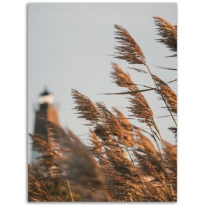 45a7297a-0a4b-41b3-9a62-9b5a6d5e7f01.jpg 45a7297a-0a4b-41b3-9a62-9b5a6d5e7f01