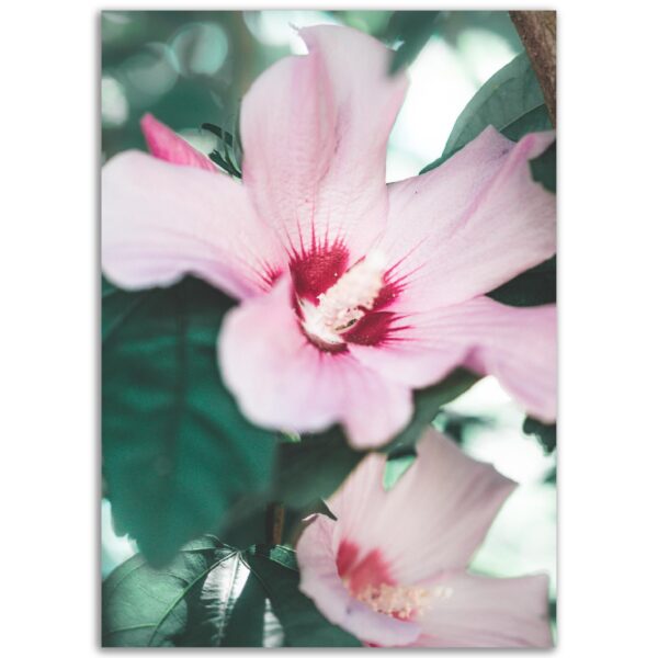 670cc6a0-1268-43f2-85b2-b2494ff703e3.jpg 670cc6a0-1268-43f2-85b2-b2494ff703e3