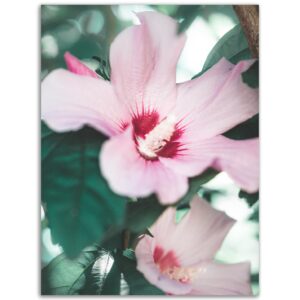 6c8f5f1d-ea94-4ea0-880d-66be81e08969.jpg 6c8f5f1d-ea94-4ea0-880d-66be81e08969