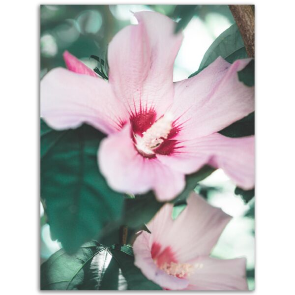 6c8f5f1d-ea94-4ea0-880d-66be81e08969.jpg 6c8f5f1d-ea94-4ea0-880d-66be81e08969