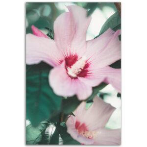 70efe944-693a-4e8b-9a02-5cc77e0927c4.jpg 70efe944-693a-4e8b-9a02-5cc77e0927c4