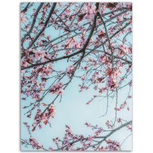 7f7c0436-ddf8-4eb5-81f5-2ae5b25b0e5f.jpg 7f7c0436-ddf8-4eb5-81f5-2ae5b25b0e5f