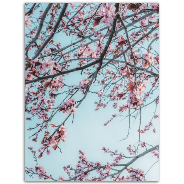 7f7c0436-ddf8-4eb5-81f5-2ae5b25b0e5f.jpg 7f7c0436-ddf8-4eb5-81f5-2ae5b25b0e5f