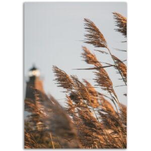 8a2de537-380c-4156-ad9e-89f419df3232.jpg 8a2de537-380c-4156-ad9e-89f419df3232