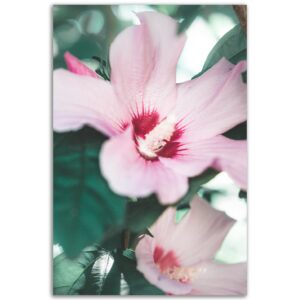 8dcd3e37-90ea-42cc-a7a7-ab3921a5f5b6