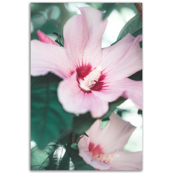 8dcd3e37-90ea-42cc-a7a7-ab3921a5f5b6.jpg 8dcd3e37-90ea-42cc-a7a7-ab3921a5f5b6