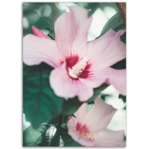 9d8ef818-f56d-47be-965d-f734580340db.jpg 9d8ef818-f56d-47be-965d-f734580340db