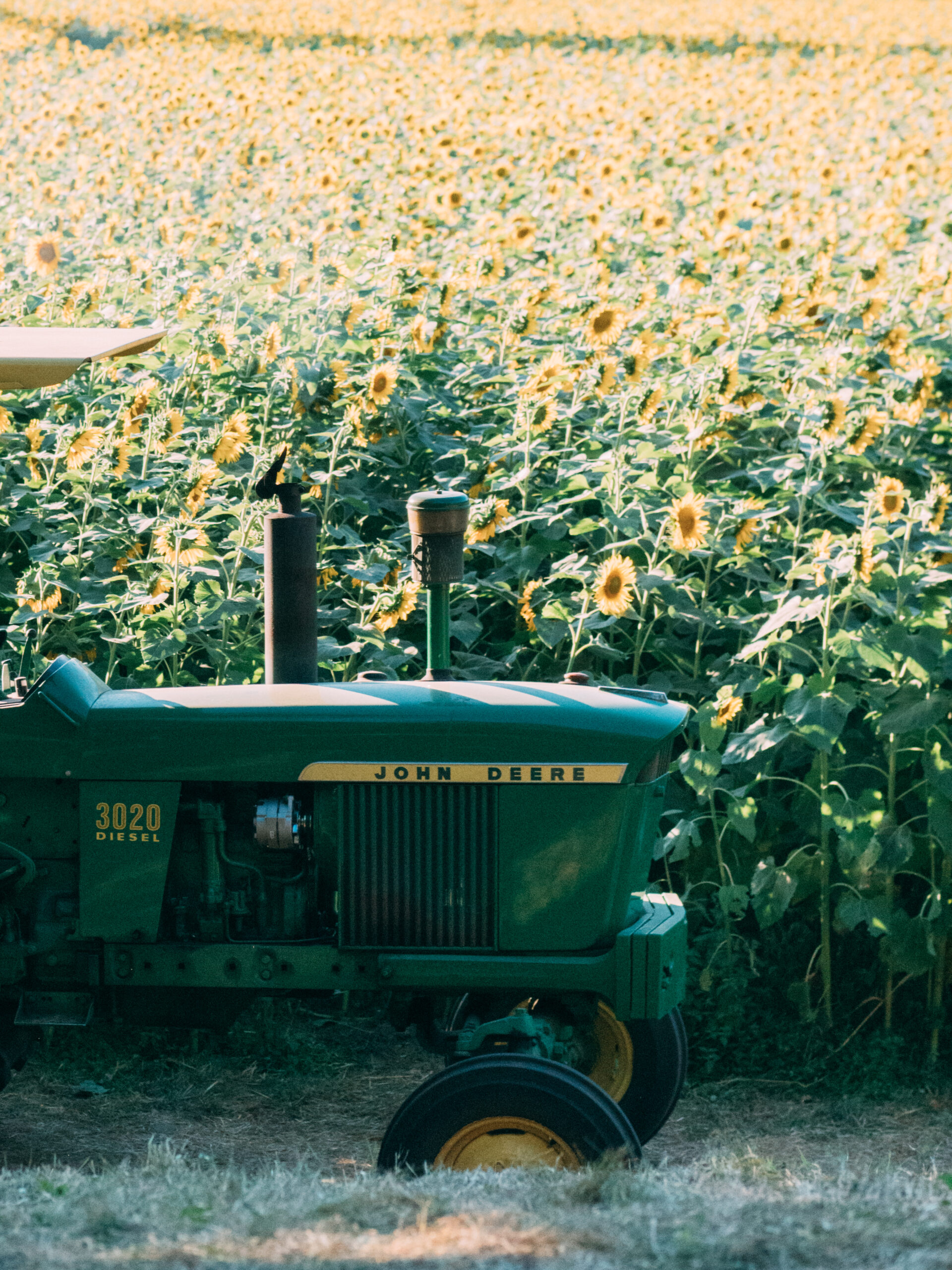 1,000 Suns (Aluminum)