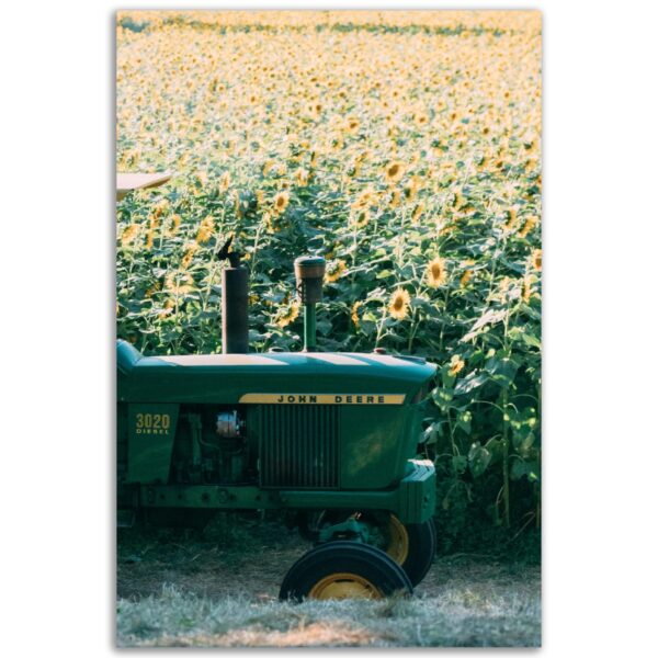 c3385b20-a17b-488e-a69c-fea8bea7a4b9.jpg c3385b20-a17b-488e-a69c-fea8bea7a4b9