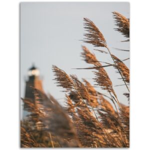 c76e2cf0-7d15-4923-8859-528f95b2a3c4.jpg c76e2cf0-7d15-4923-8859-528f95b2a3c4