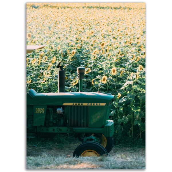 cebeee75-dd96-44ee-aab4-367551fe983c.jpg cebeee75-dd96-44ee-aab4-367551fe983c