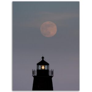 d1a1859e-5232-45dc-81f9-746559f95874.jpg d1a1859e-5232-45dc-81f9-746559f95874