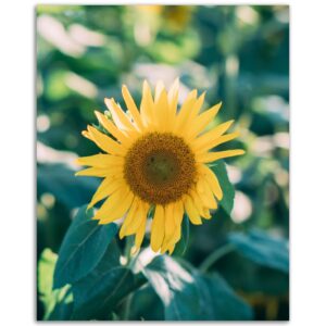 d2fb5746-591b-4554-ad14-84fc7500aca6