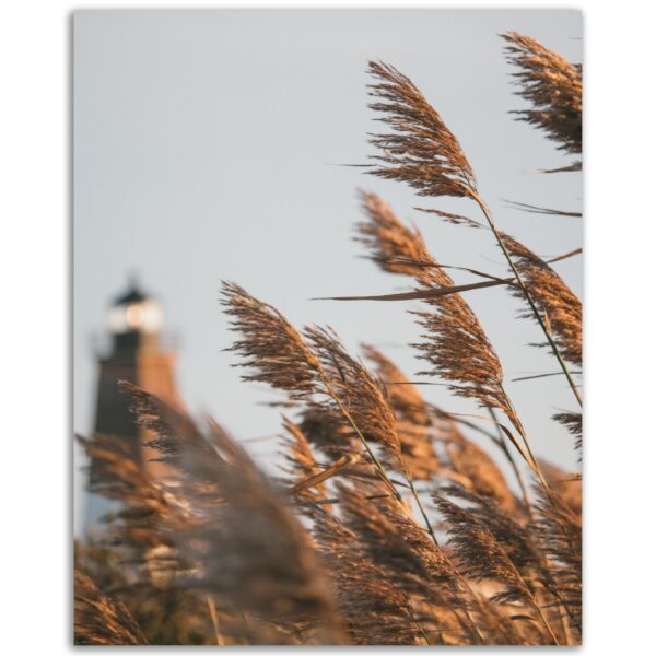 d5bd45a2-d42f-4469-8f4c-7e0715e45bad.jpg d5bd45a2-d42f-4469-8f4c-7e0715e45bad