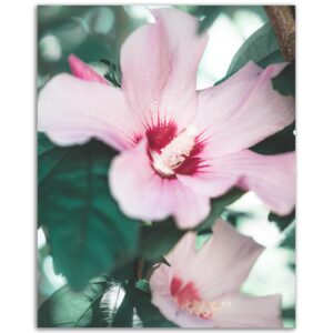 d7a90cd1-2949-488b-b5e5-bdeaf51f234d