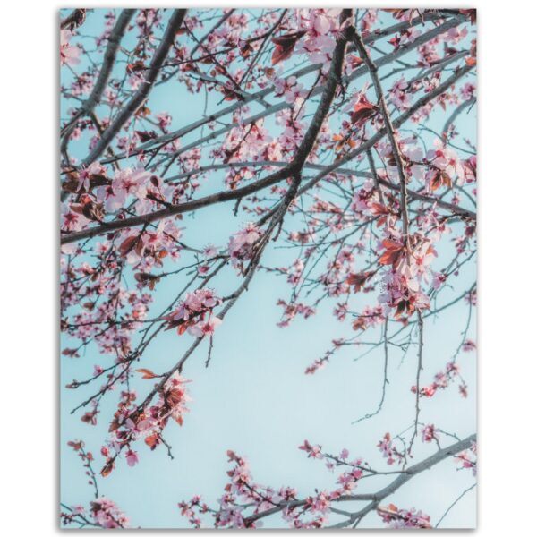 ddd4e884-96d2-433b-9134-c9c1dc8ca276.jpg ddd4e884-96d2-433b-9134-c9c1dc8ca276