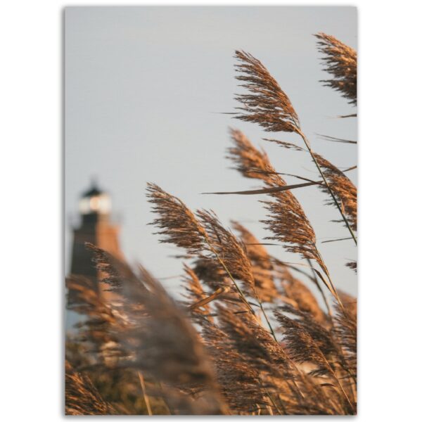 e23b63cf-8b94-46a8-99c2-252b90a09c05.jpg e23b63cf-8b94-46a8-99c2-252b90a09c05