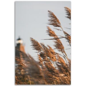 eee07879-109c-4a63-abee-5a05324b4097.jpg eee07879-109c-4a63-abee-5a05324b4097