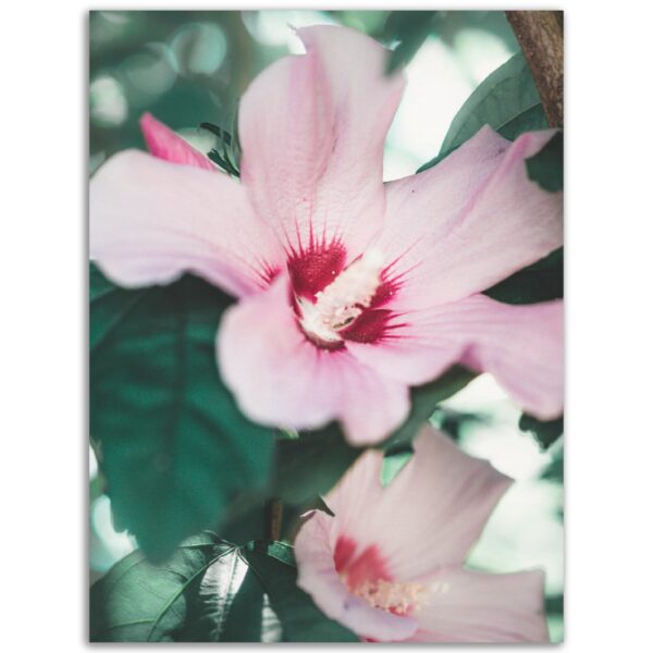 fe86ea1d-6d7c-4a38-aced-9b169de3851c.jpg fe86ea1d-6d7c-4a38-aced-9b169de3851c