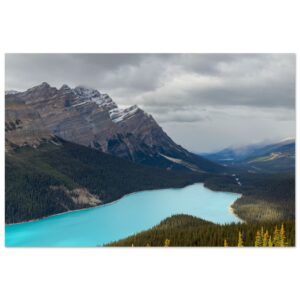 042c7f67-f417-4c62-9bef-2540780002ad.jpg 042c7f67-f417-4c62-9bef-2540780002ad