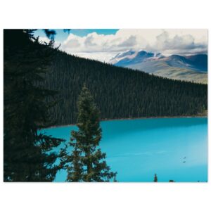 1e8938ec-21a8-4a7b-ac62-8a3c1718d917.jpg 1e8938ec-21a8-4a7b-ac62-8a3c1718d917